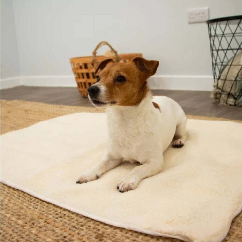 Ancol Self Heating Dog Pad Small, Medium & Large | Thermal Pet Mat with Washable Fleece Cover | EnergyFree Warmth for Dogs & Cats