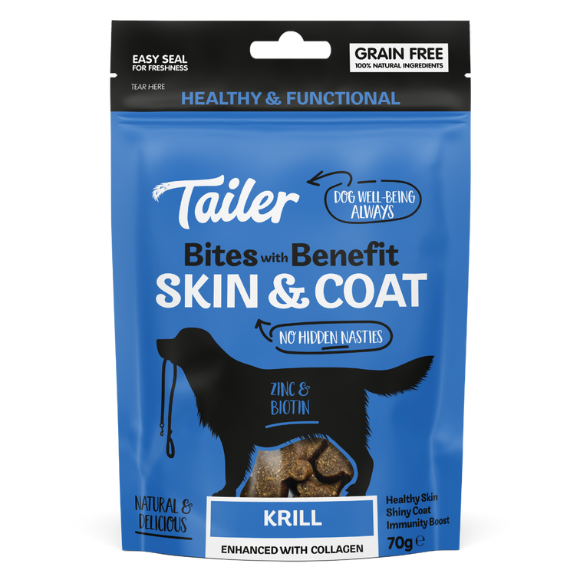 Christmas Donation Box for Dog Charity