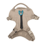 Sotnos Sport Harness- Beige/Turquoise