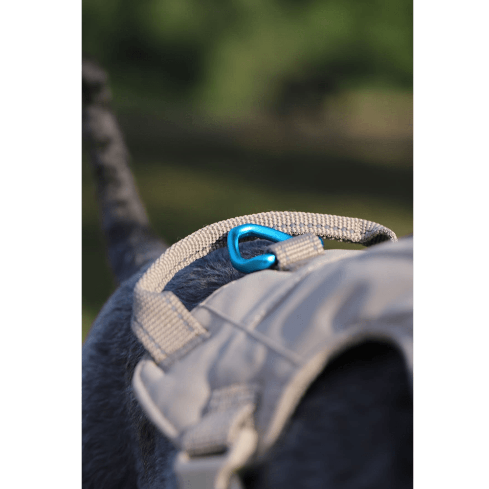 Sotnos Sport Harness- Beige/Turquoise