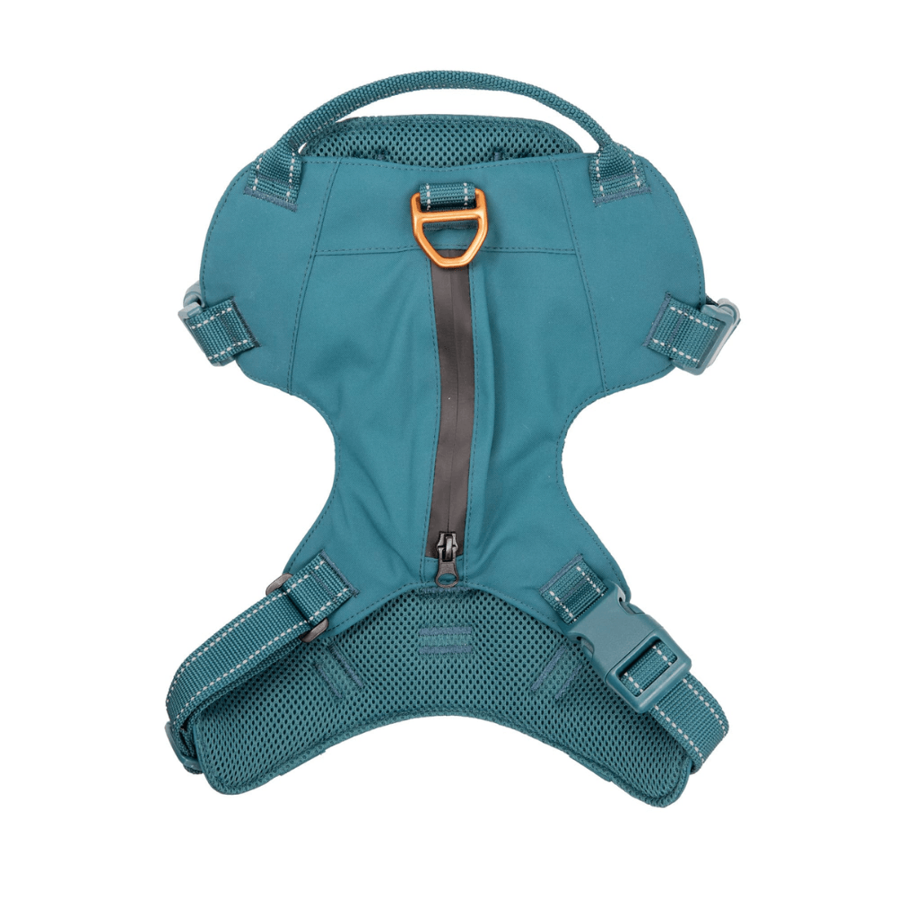 Sotnos Sport Harness- Orange/Teal