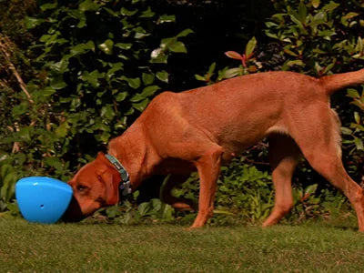 Roolo Interactive Dog Treat Dispenser - Mental Stimulation Toy