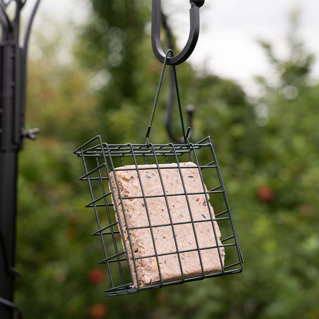 Gardman | Wild Bird Feeding | Hanging Wire Suet Feast Feeder
