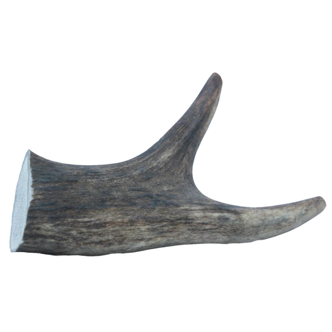 The Wild Antler Co | Natural Dog Chew | Ethically Sourced Deer Antler Bone