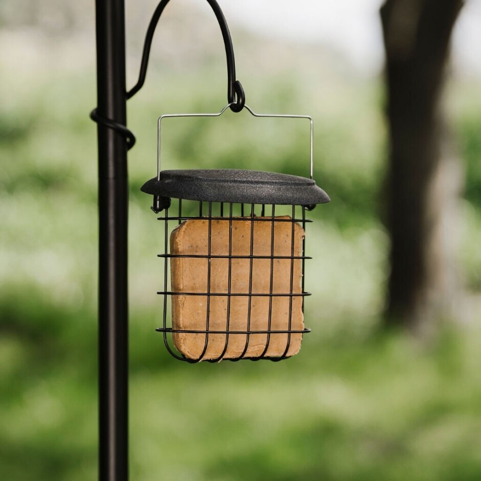 Gardman Squirrel Proof Suet Block with Chilli Pepper 300g | Wild Bird Food