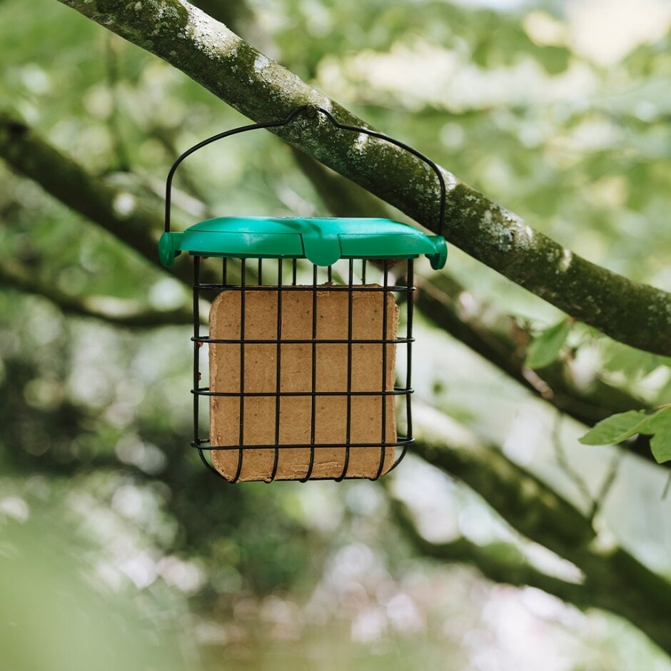 Gardman Squirrel Proof Suet Block with Chilli Pepper 300g | Wild Bird Food