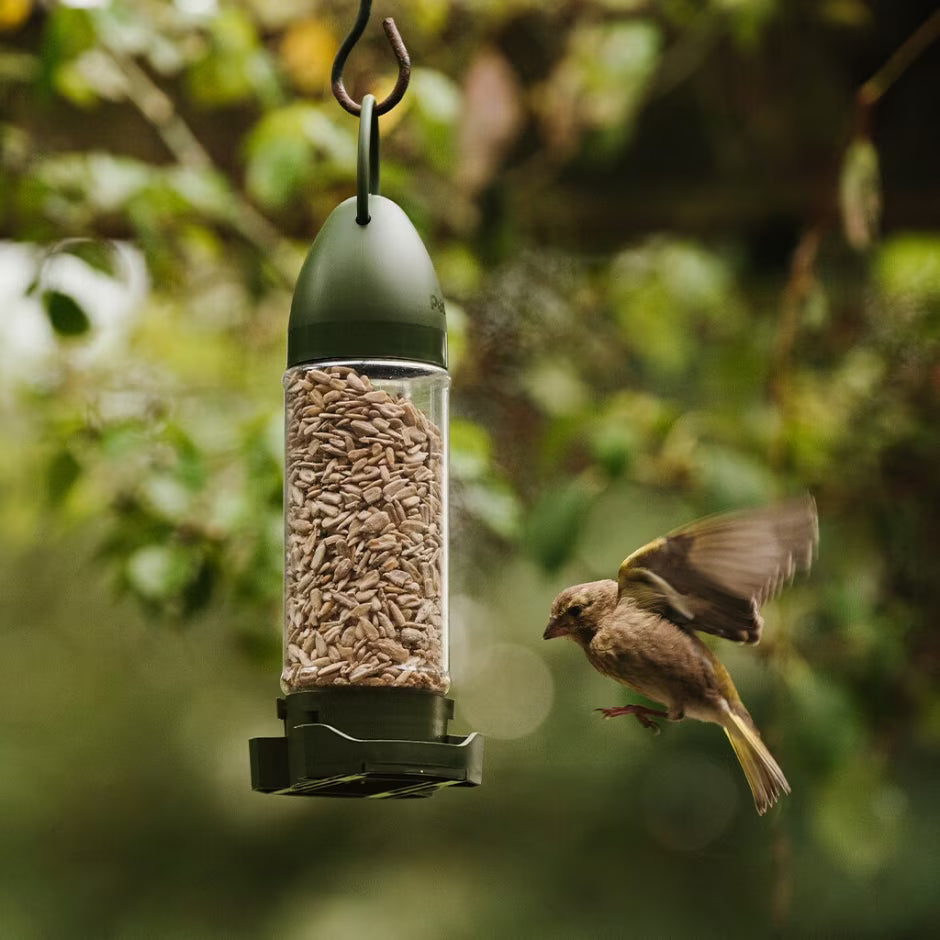 Peckish Sunflower Hearts Filled Bird Feeder (300g)