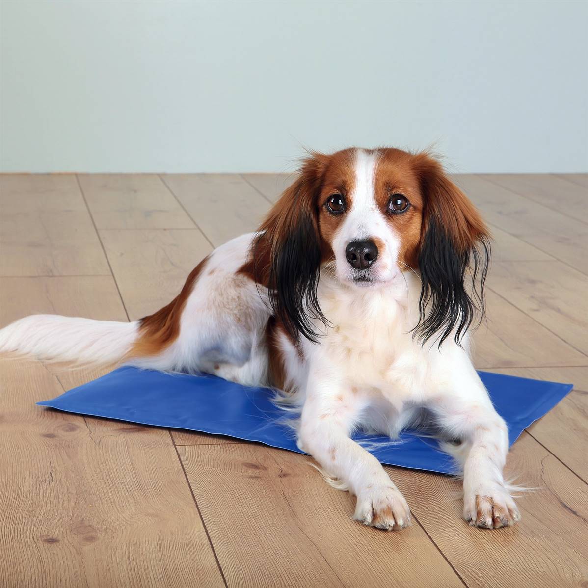 Trixie Dog Cooling Mat - Small (40 X 30cm)
