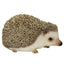 Vivid Arts Pet Pals Pygmy Hedgehog