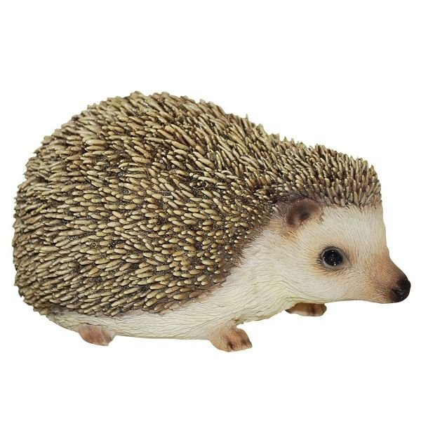 Vivid Arts Pet Pals Pygmy Hedgehog