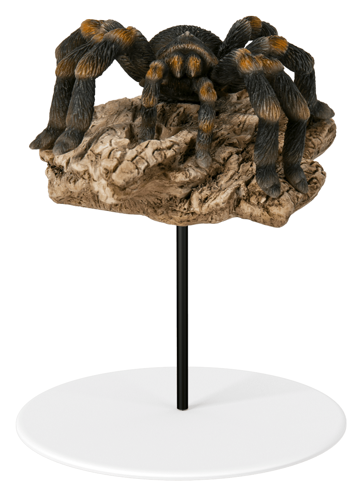 Vivid Arts | Garden Decoration | Tarantula on Log Plant Pal