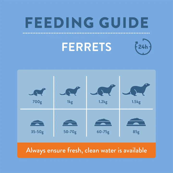 Burgess Excel Ferret Nuggets 2kg