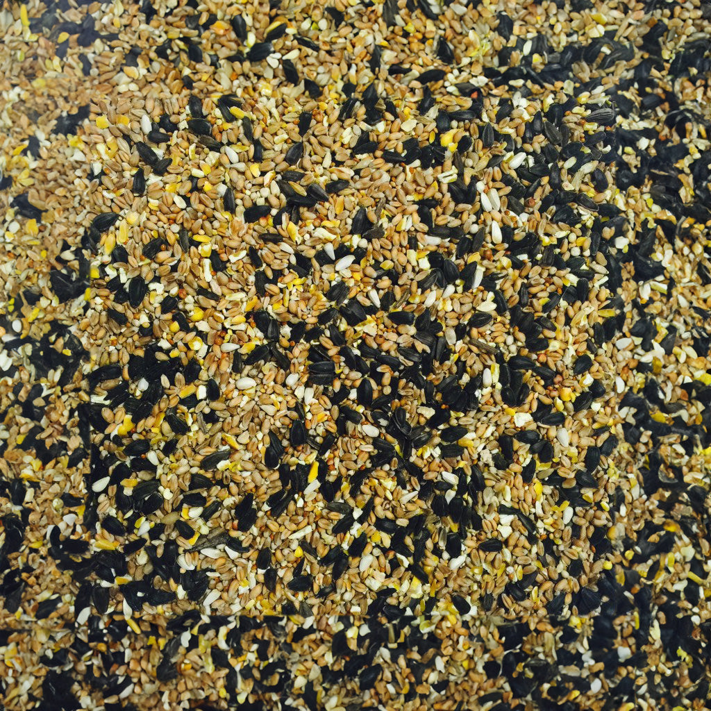 Bucktons Wild Bird Food 20kg – High‑Energy All‑Season Seed Mix for Garden Birds (UK & Ireland)