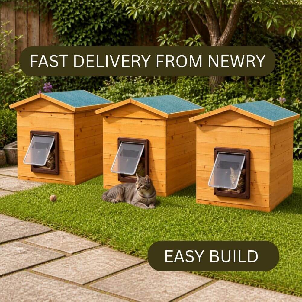 Wooden outdoor cat kennel - multiple cats - draught proof door, easy to build, weatherproof